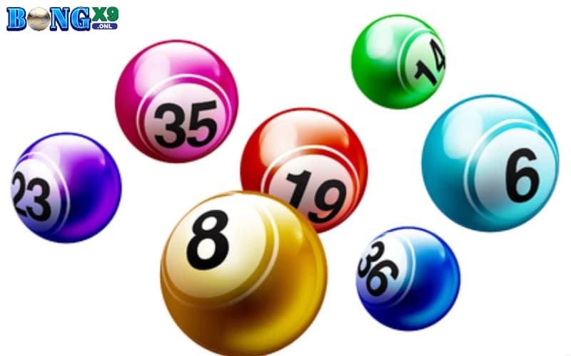 Xổ số miền bắc Bongx9 - Thiên đường làm giàu nhanh chóng 2 Kinh nghiệm chơi xổ số miền bắc Bongx9 cho người mới